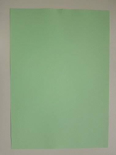 Kopier Papier Farbig (Grün) 160g/m²